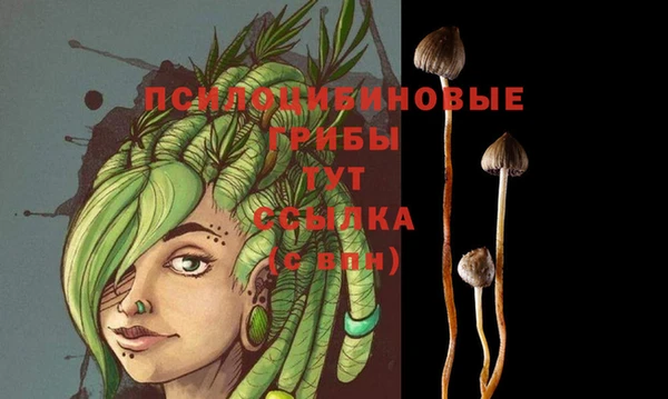 прущие грибы Ладушкин